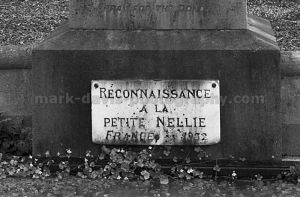 petite nell sm.jpg
